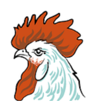 rooster-street