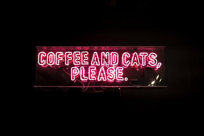 How To Start A Cat Cafe — Poster Pos