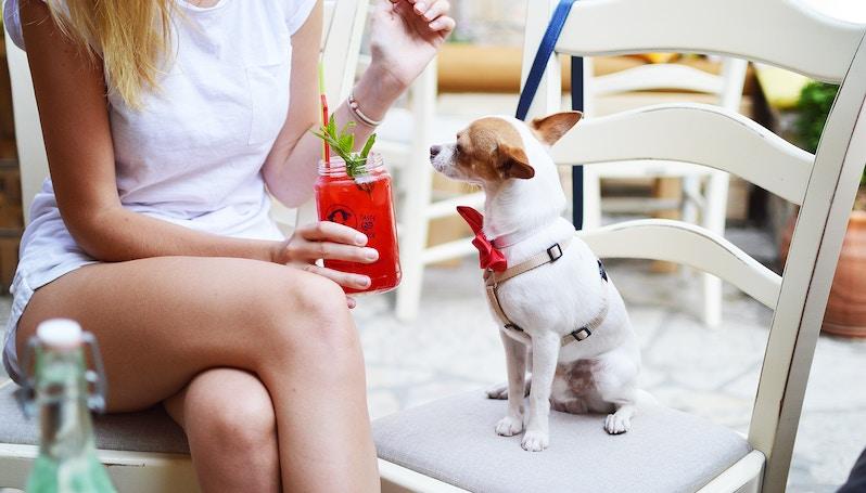 Pet-friendly outdoor dining space