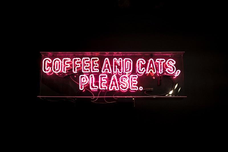 cat-cafe-names