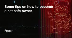 How to start a cat cafe?