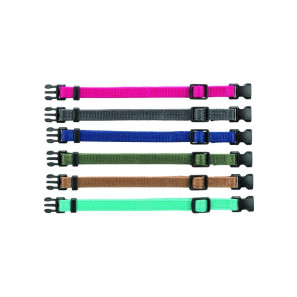 Gear and leashes