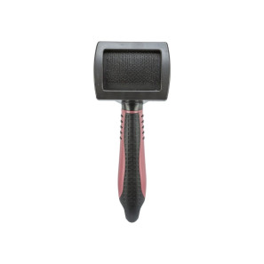 Hygiene and grooming